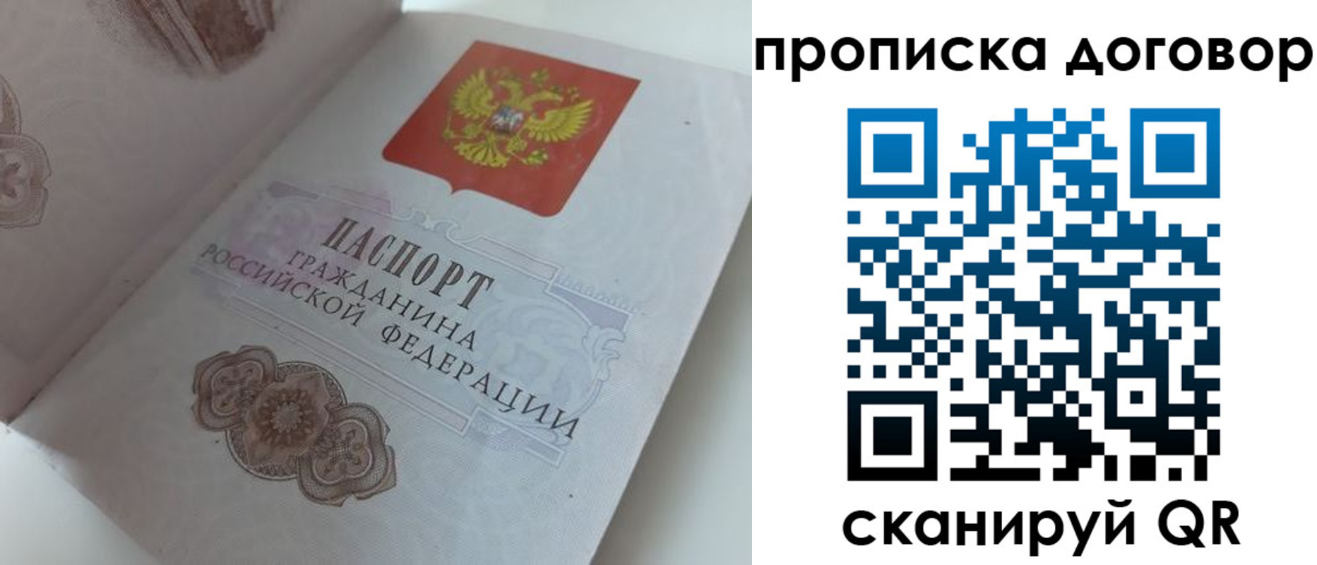 прописка поиск в Камышлове